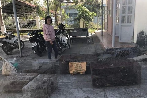Provincia vietnamita detecta caso de comercio ilegal de animales salvajes