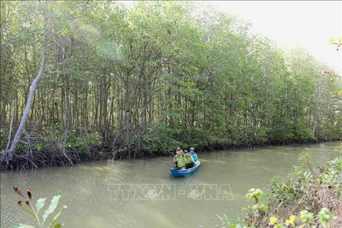 Provincia vietnamita desarrollará 171 hectáreas adicionales de bosques en 2023