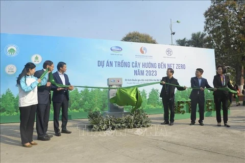 Hanoi inicia proyecto de plantación de árboles hacia cero emisiones netas