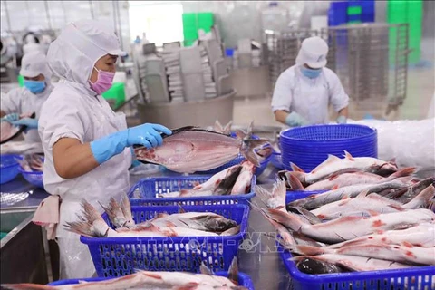 China vuelve a ser mayor importador de productos agrosilvícolas y acuícolas de Vietnam 