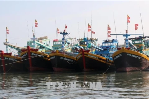 Provincia vietnamita fomenta medidas para luchar contra pesca ilegal