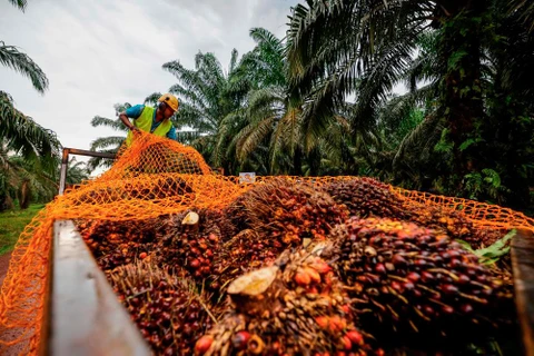 Malasia y Tailandia aceleran proceso de incorporación a CPOPC 