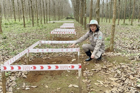 Mujer vietnamita toma la vanguardia en la curación de heridas de guerra 