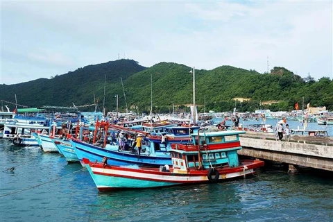 Ciudad de Phu Quoc promueve lucha contra pesca ilegal