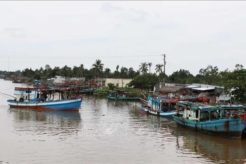 Provincia vietnamita refuerza lucha contra pesca ilegal