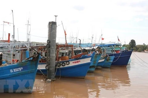 Provincia survietnamita de Kien Giang impulsa lucha contra pesca ilegal