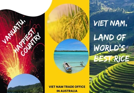 Vietnam exporta arroz ST25 a Vanuatu