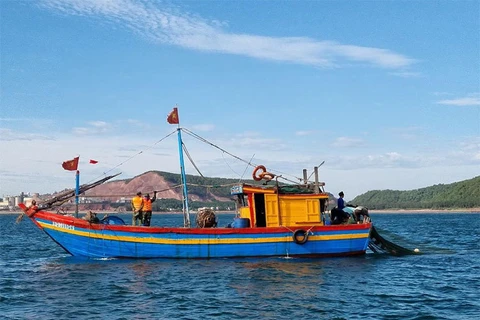 Provincia vietnamita de Nghe An controla estrictamente actividades de pesca ilegal