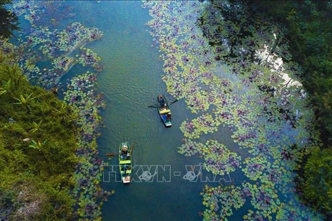 Forbes honra a Ninh Binh entre mejores destinos turísticos en 2023
