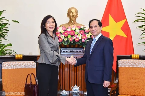 Canciller vietnamita recibe a coordinadora residente de ONU