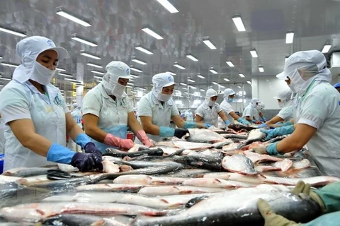 Empresas vietnamitas aprovechan subproductos del pescado Tra