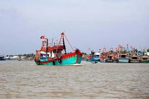 Vietnam trabaja por promover consumo de bienes agrícolas y lucha contra pesca ilegal