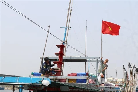 Inspeccionan lucha de provincia vietnamita contra la IUU