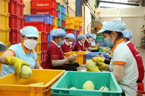 Promueven intercambio comercial entre empresas de Vietnam y China