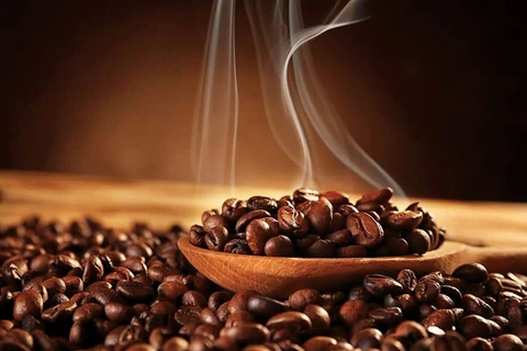 Mejoran prestigio y valor del café vietnamita