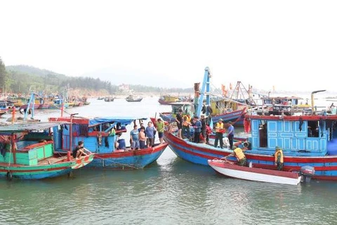 Provincia vietnamita se esfuerza por combatir la pesca ilegal
