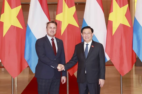 Luxemburgo dispuesto a compartir experiencias de transformación digital con Vietnam