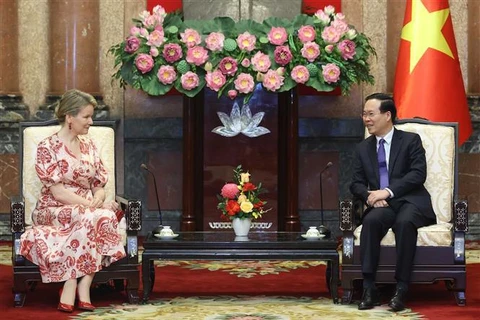 Presidente vietnamita exhorta asistencia de UNICEF Bélgica para niños