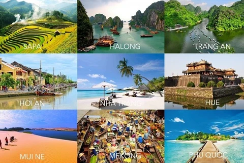 Volumen de búsqueda de turismo de Vietnam ocupa el puesto 11 en el mundo