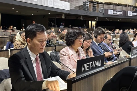 Vietnam promueve cooperación multilateral y vínculos con áreas profesionales de UNESCO