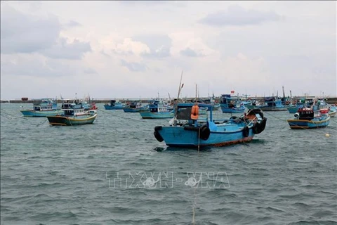 Provincia centrovietnamita de Binh Thuan se moviliza para poner fin a la pesca ilegal