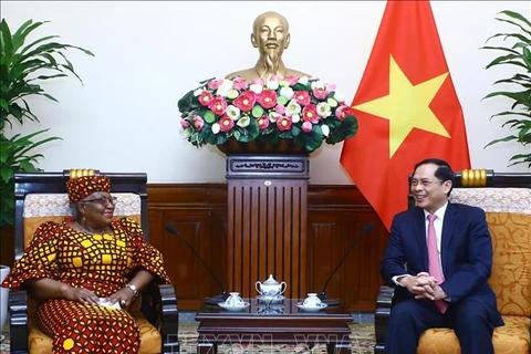 Canciller vietnamita recibe a directora general de OMC