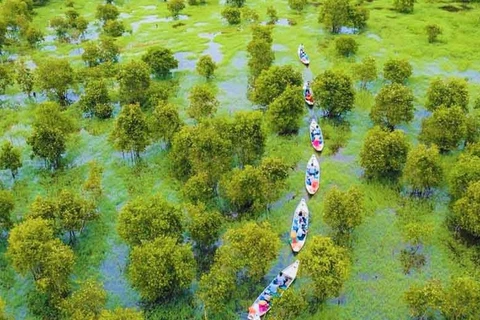 Delta del Mekong suma otros 10 destinos turísticos típicos 
