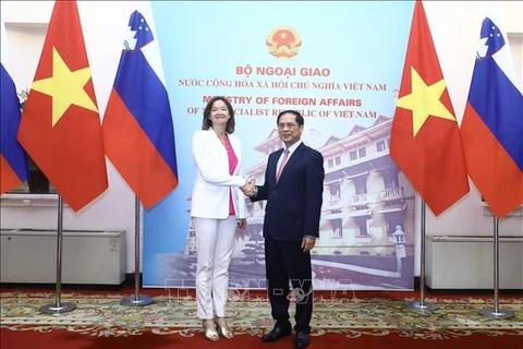 Vietnam aspira a fortalecer cooperación multifacética con Eslovenia