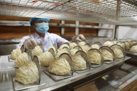 Avistan gran potencial para exportar nidos de golondrina de Vietnam al mercado chino