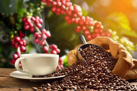 Precio de café vietnamita reporta aumento fuerte