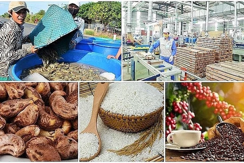  Disminuyen exportaciones de productos agroforestales y acuícolas de Vietnam