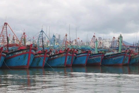 Mejoran conciencia de trabajadores en mar sobre IUU
