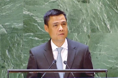 Vietnam apoya implementación del Marco de Acción de Sendai 