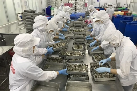 Gobierno vietnamita ayuda a industria de acuicultura a superar dificultades