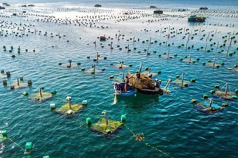 Vietnam y Noruega impulsan la cooperación en la maricultura