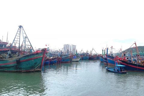 Provincia vietnamita persiste en combate a la pesca ilegal