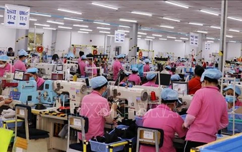 Kien Giang registra aumento de 10 por ciento del valor de producción industrial
