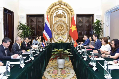 Vietnam y Tailandia efectúan su novena Consulta Política 