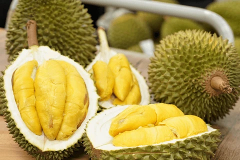Reino Unido, mercado potencial para exportación del durián vietnamita