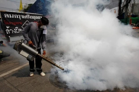Tailandia reporta alto récord en casos de dengue