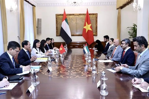Vietnam y EAU trabajan por estrechar la cooperación bilateral