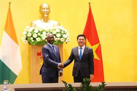 Vietnam y Costa de Marfil promueven cooperación económico - comercial