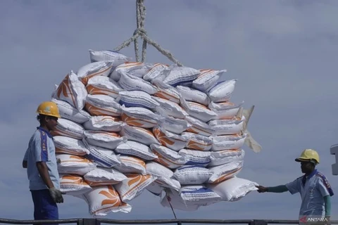 Indonesia firma acuerdo sobre importación de un millón de toneladas de arroz de India