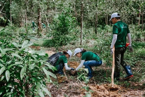 Nestlé promueve agricultura regenerativa y de bajas emisiones en Vietnam 