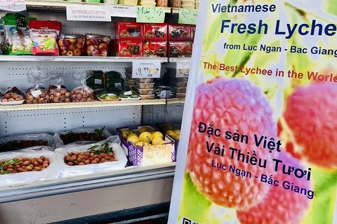 Venden en Estados Unidos lichis vietnamitas