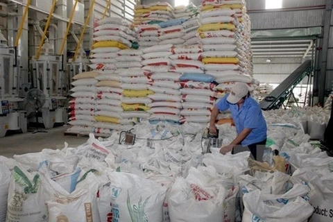Exigen impulsar producción y exportación de arroz de Vietnam