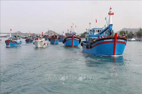 Vietnam por gestionar embarcaciones de pesca y rastrear origen de productos pesqueros
