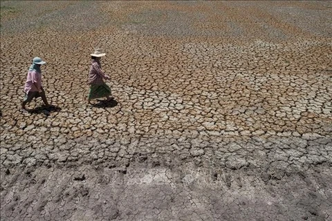 Racha seca de Tailandia podría prolongarse hasta 2024, según pronóstico