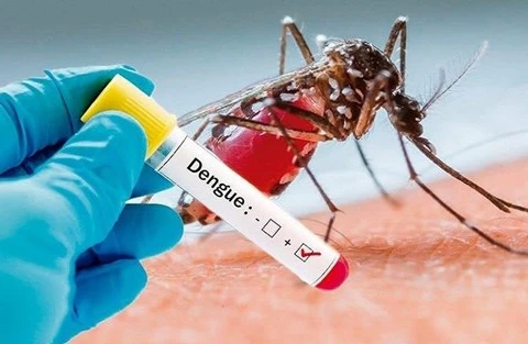 Laos reporta aumento en número de casos de dengue