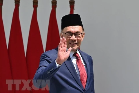 Embajador: Visita de Anwar Ibrahim profundizará confianza estratégica Malasia-Vietnam